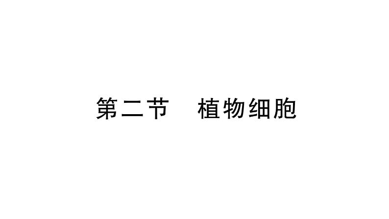 1.2.2 植物细胞 习题课件--2024-2025学年人教版（2024）生物七年级上册第1页