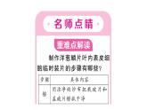 1.2.2 植物细胞 习题课件--2024-2025学年人教版（2024）生物七年级上册