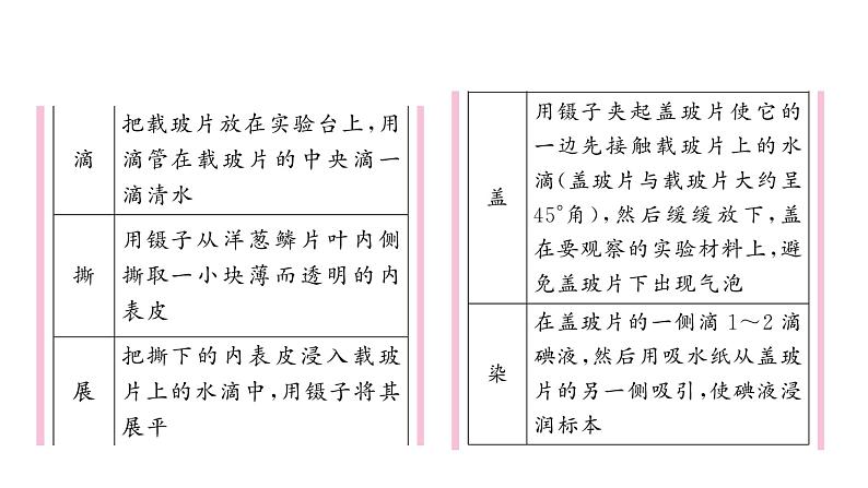 1.2.2 植物细胞 习题课件--2024-2025学年人教版（2024）生物七年级上册第3页