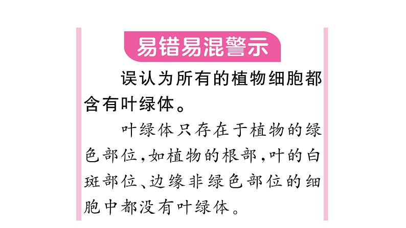 1.2.2 植物细胞 习题课件--2024-2025学年人教版（2024）生物七年级上册第4页