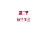 1.2.2 植物细胞课件   2024-2025学年人教版（2024）生物七年级上册