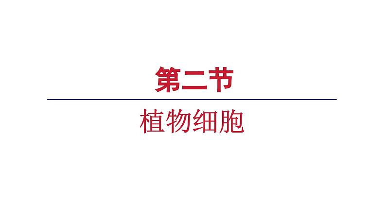 1.2.2 植物细胞课件   2024-2025学年人教版（2024）生物七年级上册01