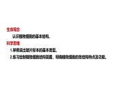 1.2.2 植物细胞课件   2024-2025学年人教版（2024）生物七年级上册