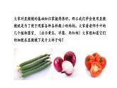 1.2.2 植物细胞课件   2024-2025学年人教版（2024）生物七年级上册