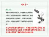1.2.2 植物细胞课件 2024-2025学年人教版（2024）生物七年级上册