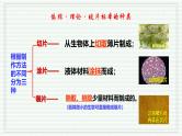 1.2.2 植物细胞课件 2024-2025学年人教版（2024）生物七年级上册