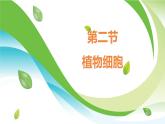 1.2.2 植物细胞课件--2024-2025学年人教版（2024）生物七年级上册