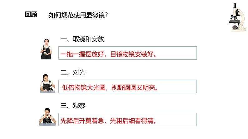 1.2.2 植物细胞课件--2024-2025学年人教版（2024）生物七年级上册02