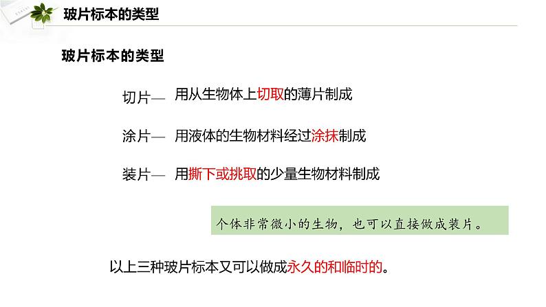 1.2.2 植物细胞课件--2024-2025学年人教版（2024）生物七年级上册05