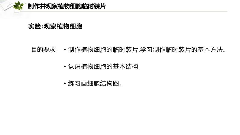 1.2.2 植物细胞课件--2024-2025学年人教版（2024）生物七年级上册06