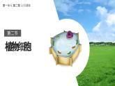 1.2.2植物细胞课件--2024-2025学年人教版（2024）生物七年级上册