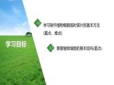1.2.2植物细胞课件--2024-2025学年人教版（2024）生物七年级上册