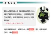 1.2.2植物细胞课件--2024-2025学年人教版（2024）生物七年级上册