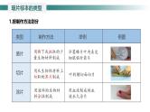1.2.2植物细胞课件--2024-2025学年人教版（2024）生物七年级上册