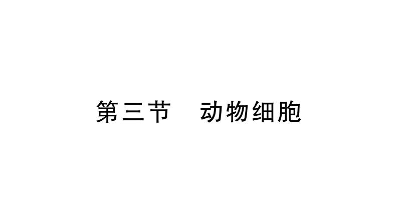 1.2.3动物细胞 习题课件--2024-2025学年人教版（2024）生物七年级上册第1页