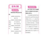 1.2.3动物细胞 习题课件--2024-2025学年人教版（2024）生物七年级上册