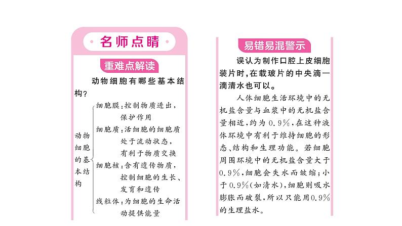 1.2.3动物细胞 习题课件--2024-2025学年人教版（2024）生物七年级上册第2页