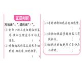 1.2.3动物细胞 习题课件--2024-2025学年人教版（2024）生物七年级上册