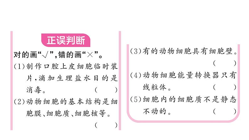 1.2.3动物细胞 习题课件--2024-2025学年人教版（2024）生物七年级上册第3页