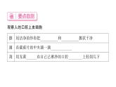 1.2.3动物细胞 习题课件--2024-2025学年人教版（2024）生物七年级上册