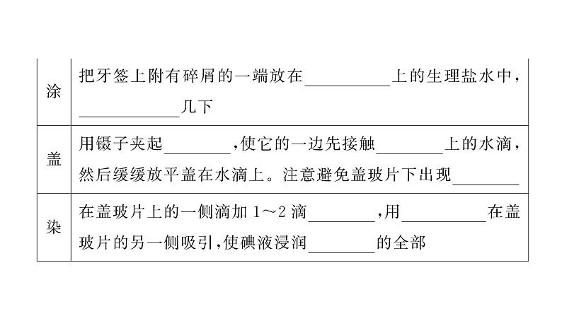 1.2.3动物细胞 习题课件--2024-2025学年人教版（2024）生物七年级上册第5页