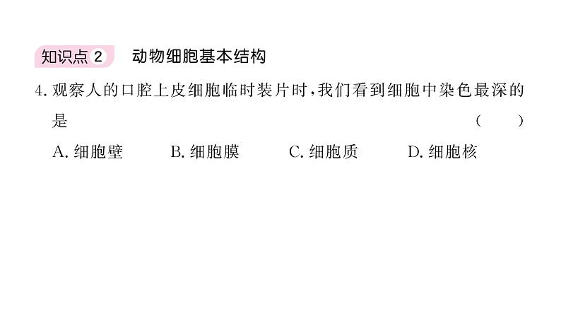 1.2.3动物细胞 习题课件--2024-2025学年人教版（2024）生物七年级上册第8页