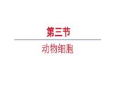 1.2.3动物细胞课件--2024-2025学年人教版（2024）生物七年级上册