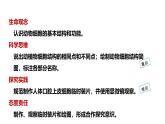 1.2.3动物细胞课件--2024-2025学年人教版（2024）生物七年级上册