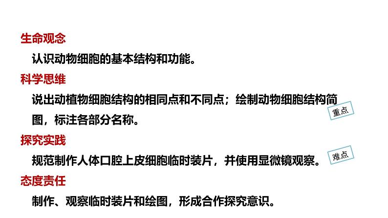 1.2.3动物细胞课件--2024-2025学年人教版（2024）生物七年级上册02