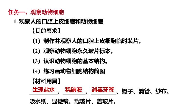 1.2.3动物细胞课件--2024-2025学年人教版（2024）生物七年级上册07