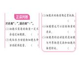 1.2.4 细胞的生活 习题课件--2024-2025学年人教版（2024）生物七年级上册