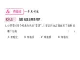 1.2.4 细胞的生活 习题课件--2024-2025学年人教版（2024）生物七年级上册