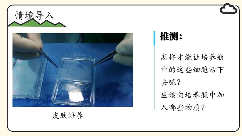 1.2.4 细胞的生活课件--2024-2025学年人教版（2024）生物七年级上册第3页