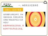 1.2.4 细胞的生活课件--2024-2025学年人教版（2024）生物七年级上册