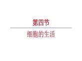 1.2.4细胞的生活课件--2024-2025学年人教版（2024）生物七年级上册