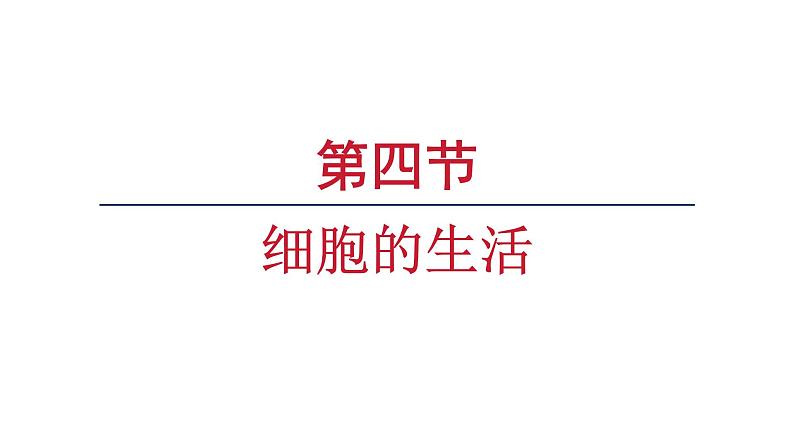 1.2.4细胞的生活课件--2024-2025学年人教版（2024）生物七年级上册01