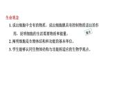 1.2.4细胞的生活课件--2024-2025学年人教版（2024）生物七年级上册