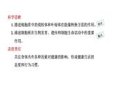 1.2.4细胞的生活课件--2024-2025学年人教版（2024）生物七年级上册