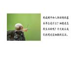 1.2.4细胞的生活课件--2024-2025学年人教版（2024）生物七年级上册