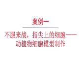 公开课案例一——动植物细胞模型制作 课件--2024-2025学年人教版（2024）生物七年级上册
