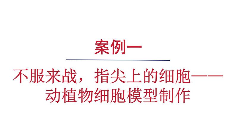 公开课案例一——动植物细胞模型制作 课件--2024-2025学年人教版（2024）生物七年级上册第1页