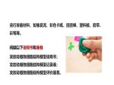 公开课案例一——动植物细胞模型制作 课件--2024-2025学年人教版（2024）生物七年级上册