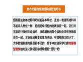公开课案例一——动植物细胞模型制作 课件--2024-2025学年人教版（2024）生物七年级上册