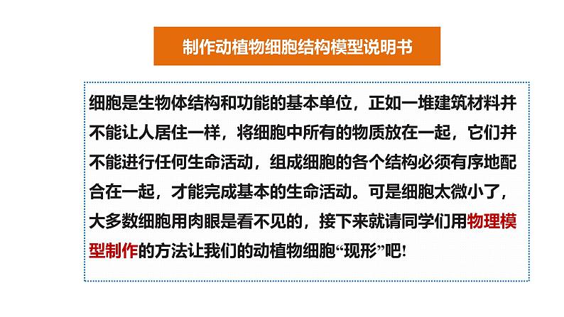 公开课案例一——动植物细胞模型制作 课件--2024-2025学年人教版（2024）生物七年级上册第4页