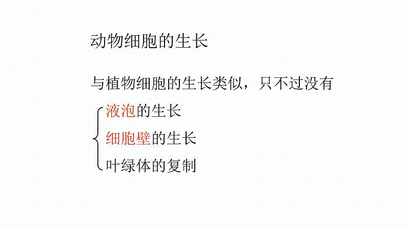 1.3.1 细胞通过分裂产生新细胞 课件--2024-2025学年人教版（2024）生物七年级上册第7页