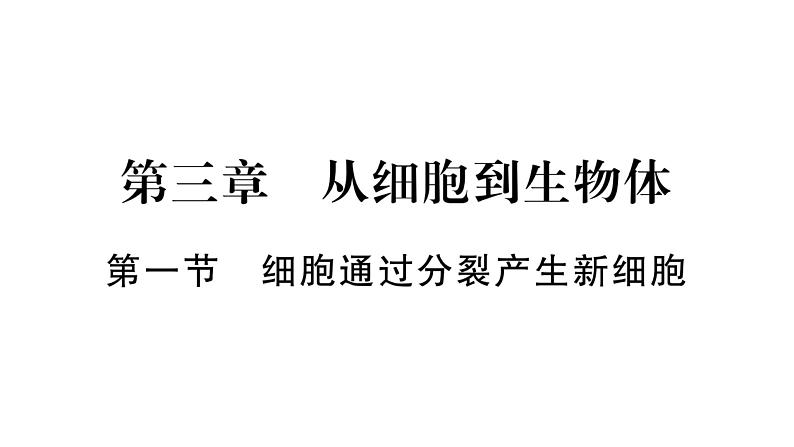 1.3.1细胞通过分裂产生新细胞 习题课件--2024-2025学年人教版（2024）生物七年级上册第1页