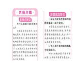 1.3.1细胞通过分裂产生新细胞 习题课件--2024-2025学年人教版（2024）生物七年级上册