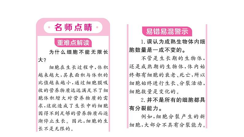 1.3.1细胞通过分裂产生新细胞 习题课件--2024-2025学年人教版（2024）生物七年级上册第2页