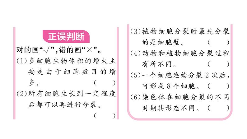 1.3.1细胞通过分裂产生新细胞 习题课件--2024-2025学年人教版（2024）生物七年级上册第3页