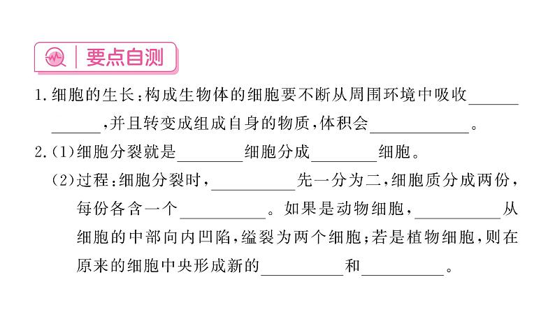 1.3.1细胞通过分裂产生新细胞 习题课件--2024-2025学年人教版（2024）生物七年级上册第4页